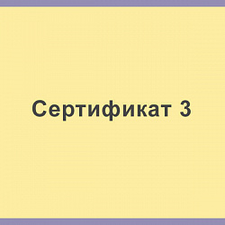 Сертификат 3